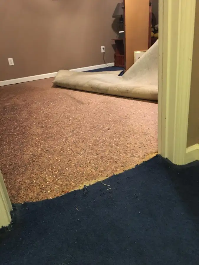 Carpet pad removal revealing water damage during Drying & Dehumidification in Byram