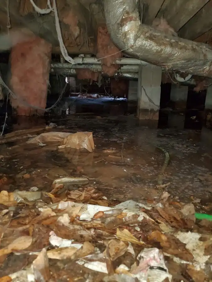 Crawl space flood assessment for Leak Detection & Repair in Byram