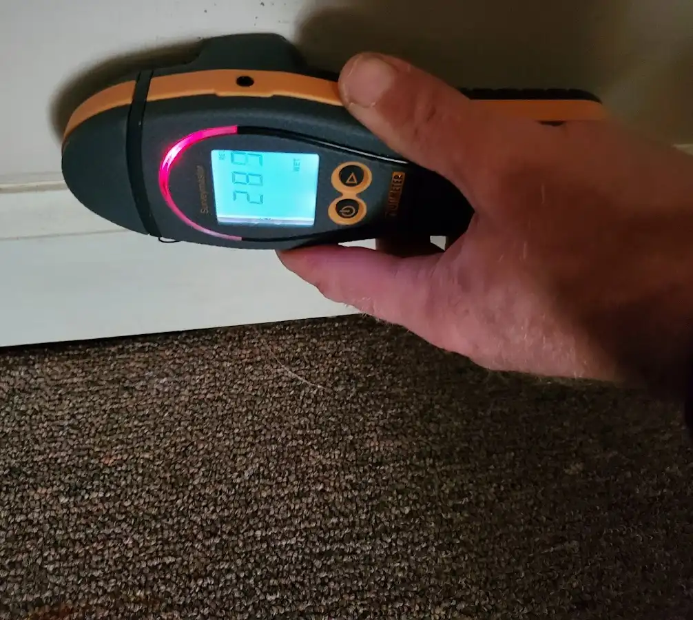 Moisture detection at baseboard during Mold Inspection & Testing in Byram